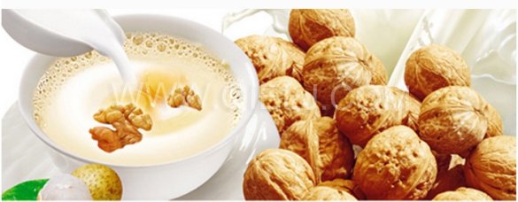 核桃深加工——核桃油，核桃粉，核桃工藝品，活性炭制品(圖8)