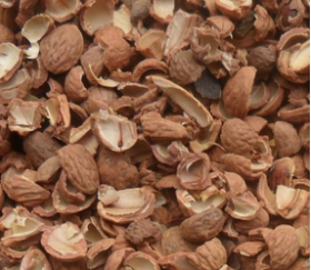 核桃深加工——核桃油，核桃粉，核桃工藝品，活性炭制品(圖3)