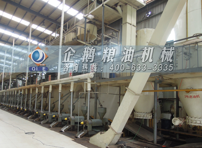 如何降低壓榨花生油中黃曲霉毒素含量？企鵝糧油機(jī)械為您提供可靠方法(圖3)