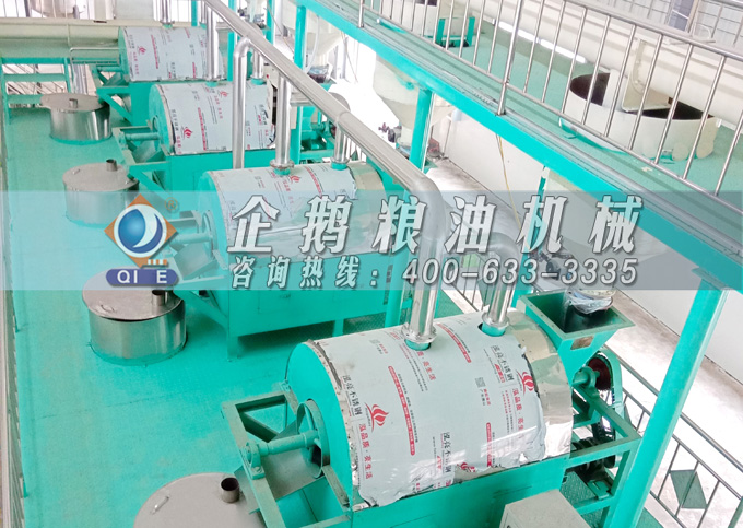 如何降低壓榨花生油中黃曲霉毒素含量？企鵝糧油機(jī)械為您提供可靠方法(圖4)