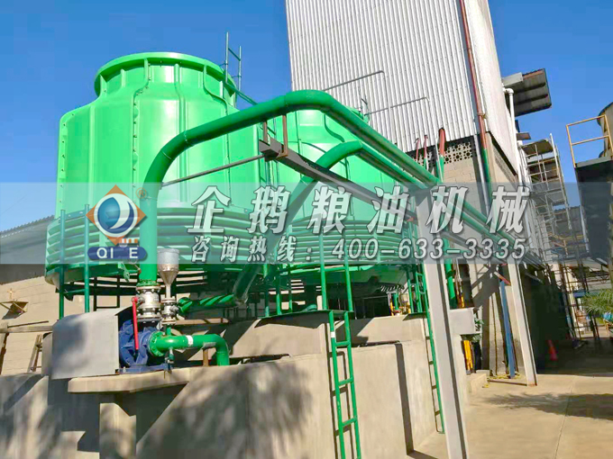 如何投資建設棕櫚油加工廠？企鵝糧油機械在線為您答疑解惑(圖3)