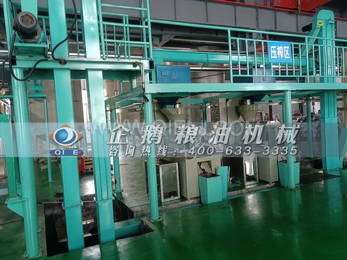 企鵝牌核桃油榨油設(shè)備，生產(chǎn)綠色健康油受大眾喜愛(圖4)