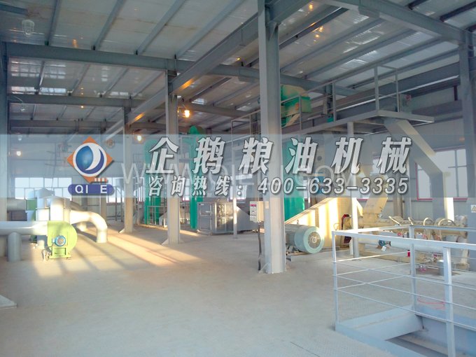 如何提取到高質(zhì)量的大豆油？一條企鵝浸出生產(chǎn)線(xiàn)就足夠了(圖2)